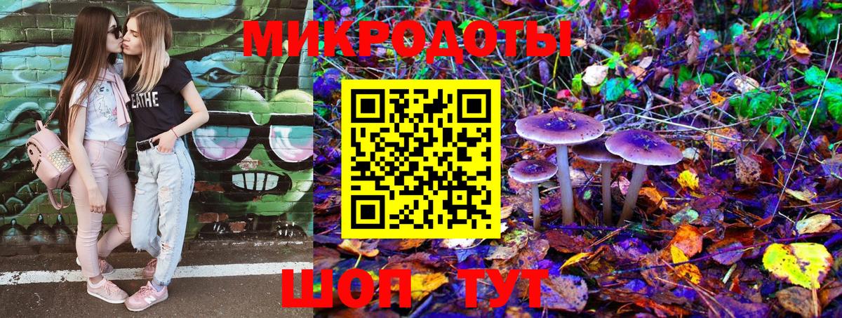 Псилоцибиновые грибы мицелий Амурск